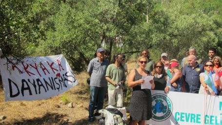 Pedallar zeytin ağacı için çevriliyor