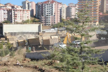 Zaten orman kanunuyla yönetiliyoruz