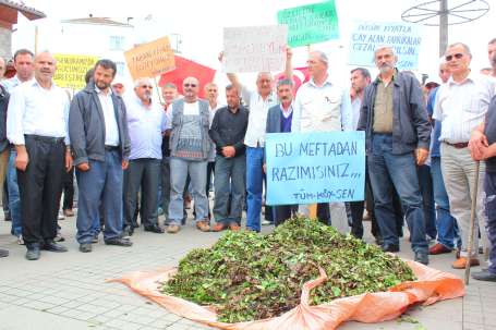 Çay üreticileri alana çıktı!