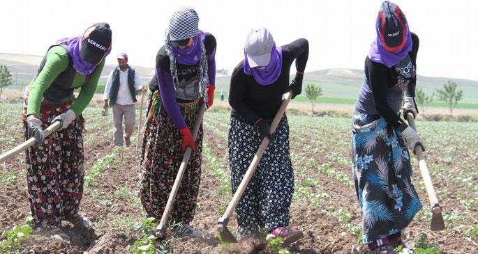 HDP\'den mevsimlik işçiler için önerge