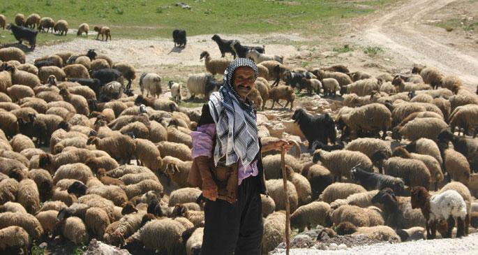 Koçerlerin yolculuğu sürüyor