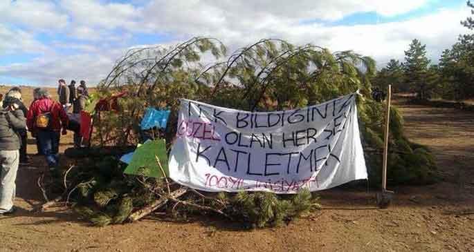 ODTÜ\'de ağaçların kesilmesi protesto edildi