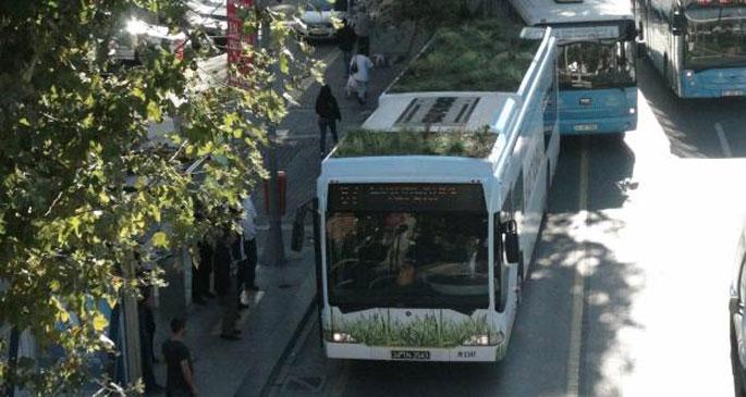 Topbaş, kestiği  ağaçları otobüse dikti!