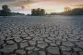 Tarım ve Orman Bakanlığı: Yeterli yağış düşmezse, 2020 son 5 yılın en kurak yılı olur