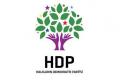 HDP: Zorla ve erken yaşta evliliklerin önü açılıyor