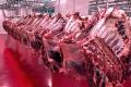'İthal et fiyatları düşürmüyor, üreticiyi bitiriyor'