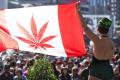 Kanada Senatosu marihuananın yasallaşmasını oylayacak