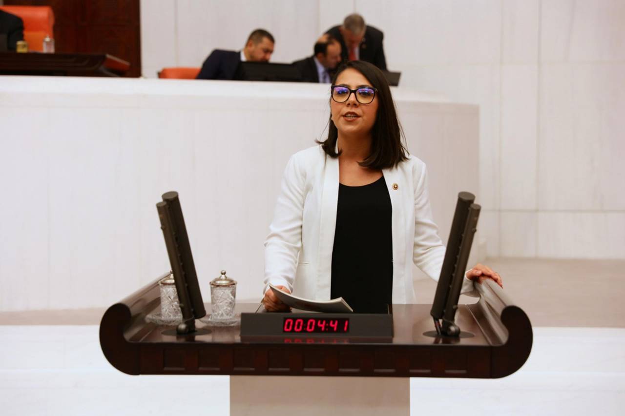 TİP'ten Sera Kadıgil'e açılan soruşturmalara tepki