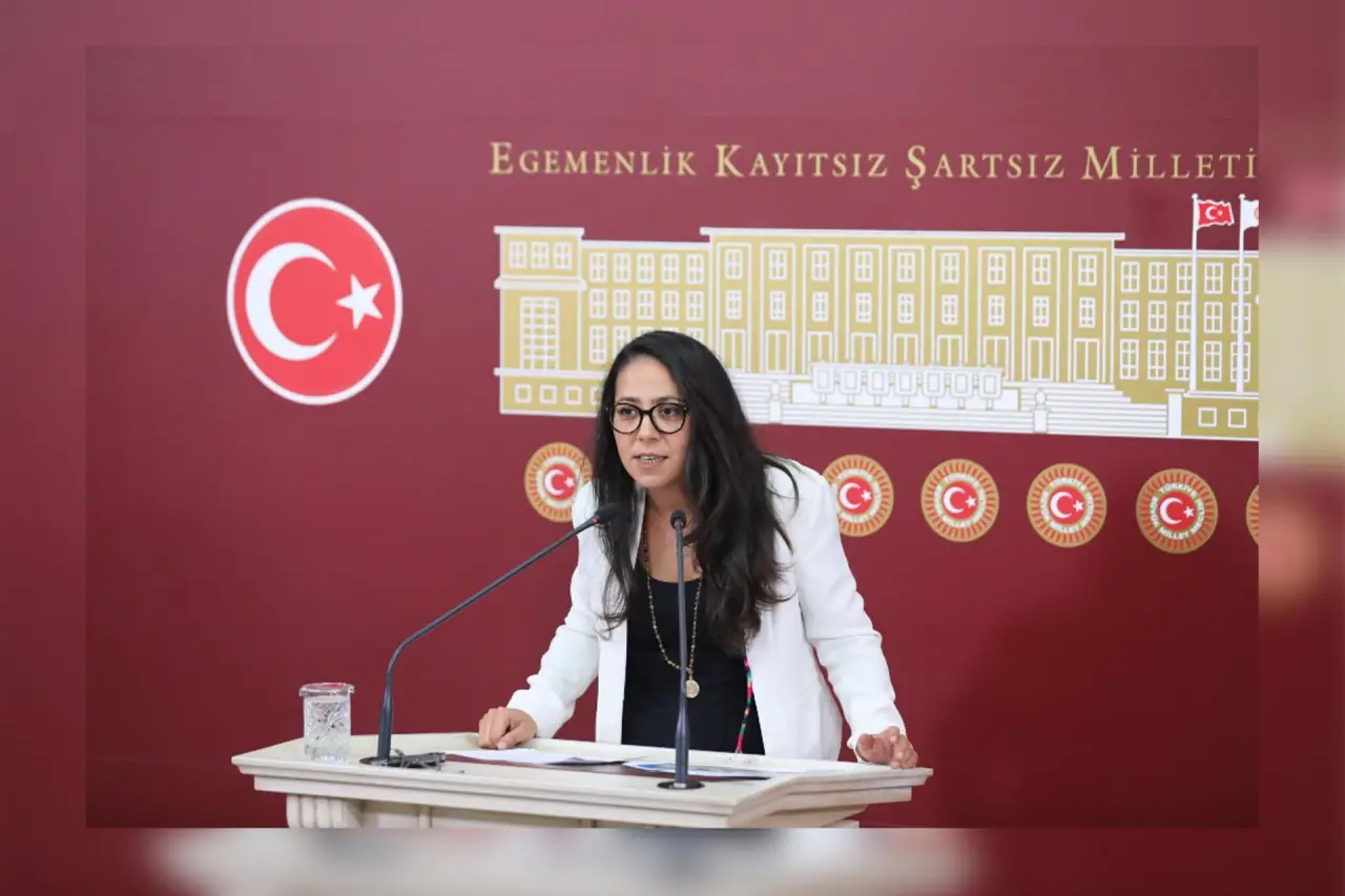 TİP Milletvekili Sera Kadıgil'e iki suçlamayla soruşturma