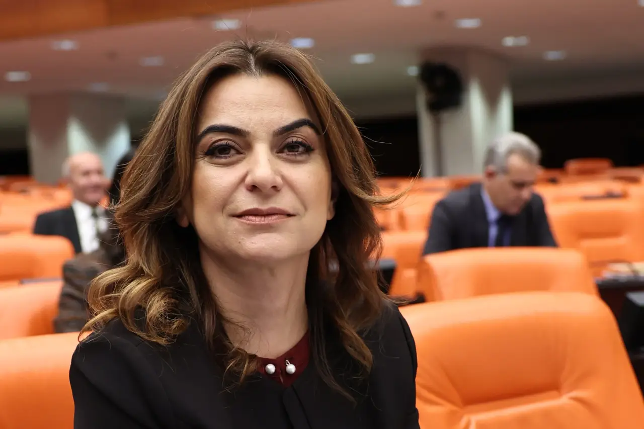DEM Parti: Kod yasa için genel çerçeve Öcalan'la tartışıldı