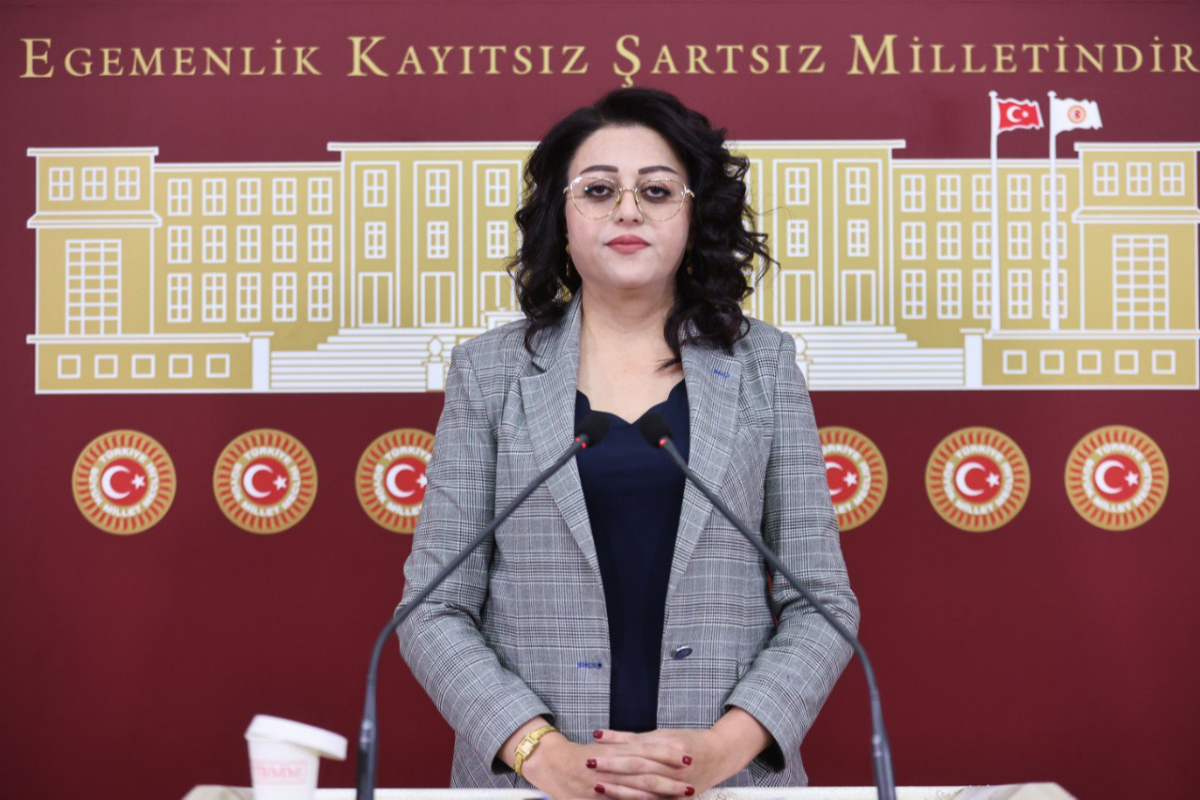 Hakkâri’deki ölümlü kazalar Meclis gündeminde: DEM Partili Bartin’den üç ayrı önerge