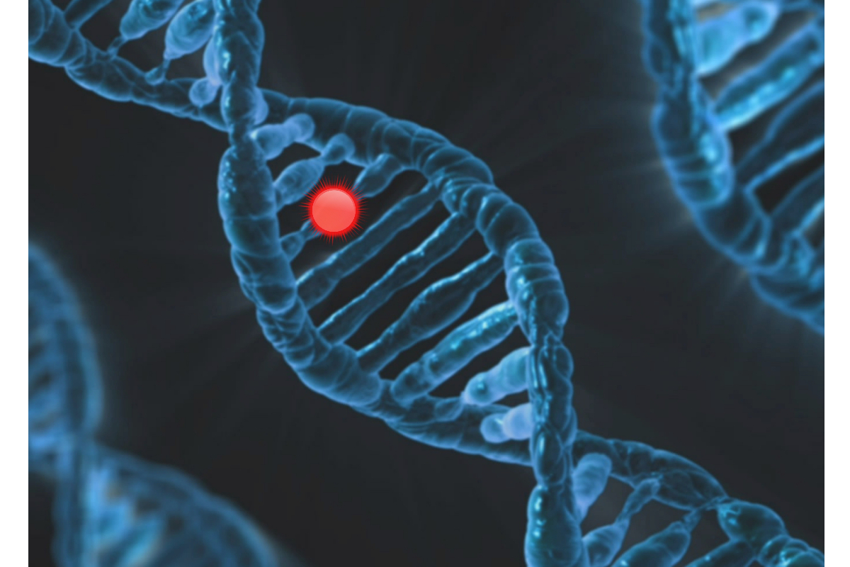 DNA yaşlanmada geri dönebilir mi? Yeni çalışma “çözülme” sürecini tersine çevirdi