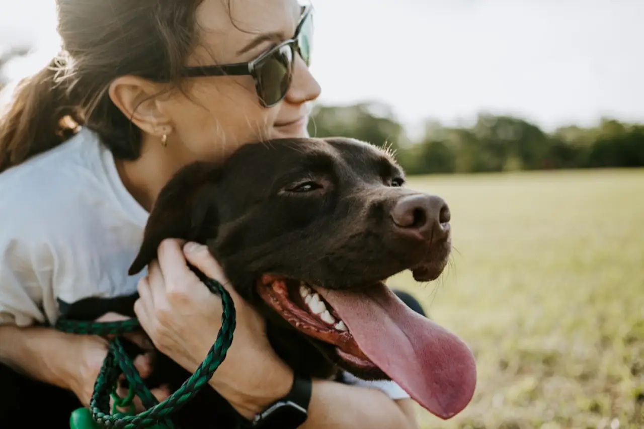 Köpekler ne söylüyor, insanlar ne anlıyor? Bilim yanıtladı