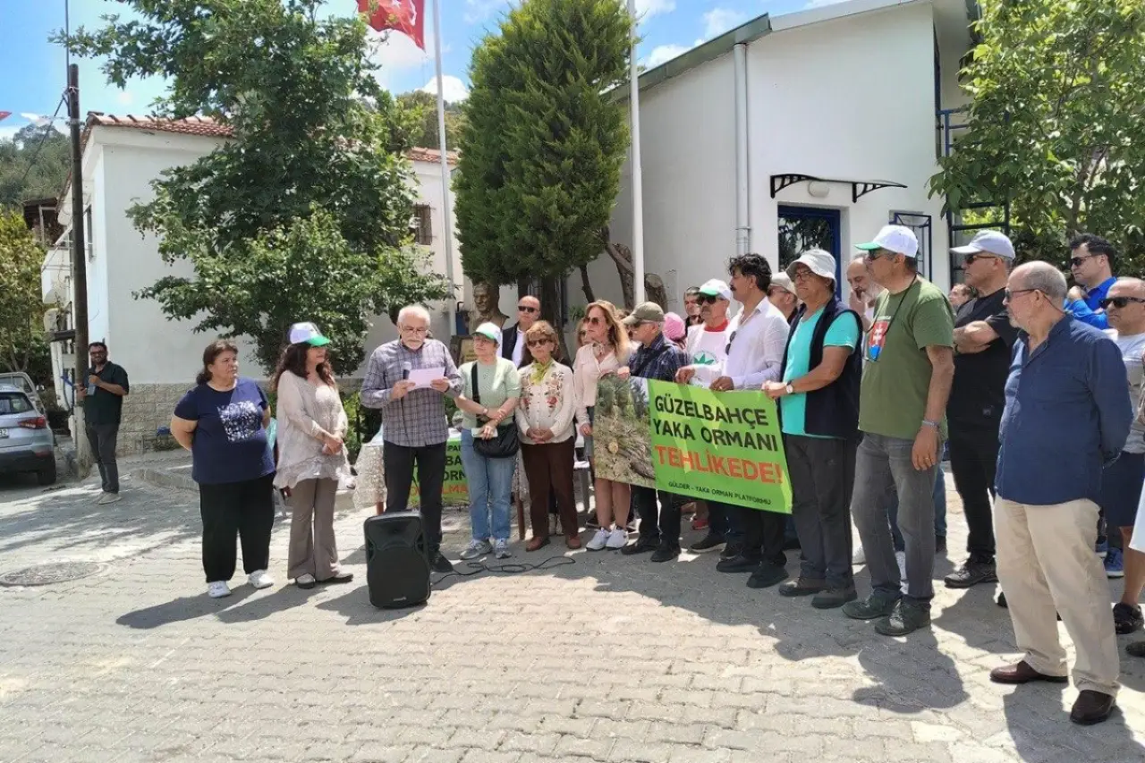 Yaka Ormanı için ortak ses: Ormanın yok edilmesine izin vermeyeceğiz