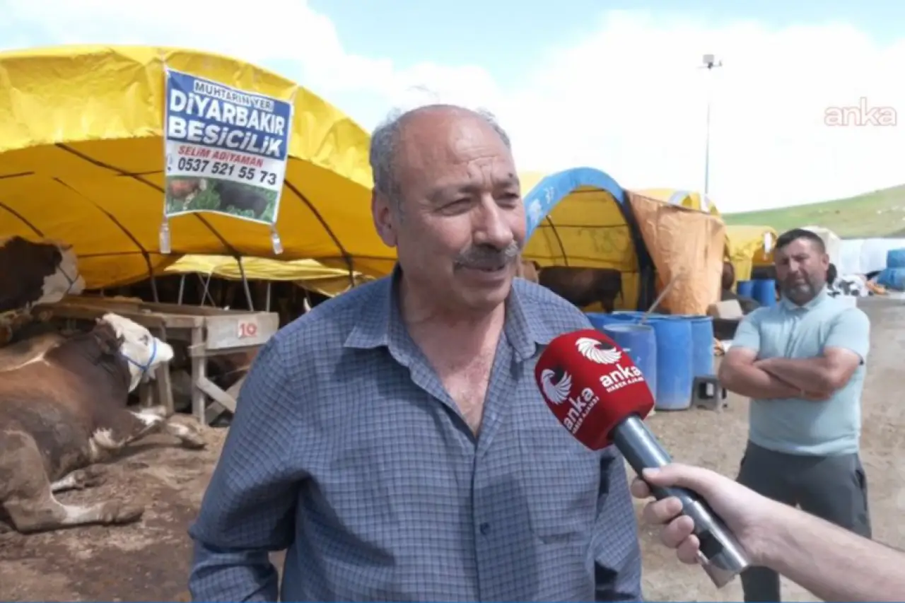 Kurbanlık fiyatları 600 bin liraya dayandı: Üretici maliyetlerden, emekliler fiyatlardan şikayetçi