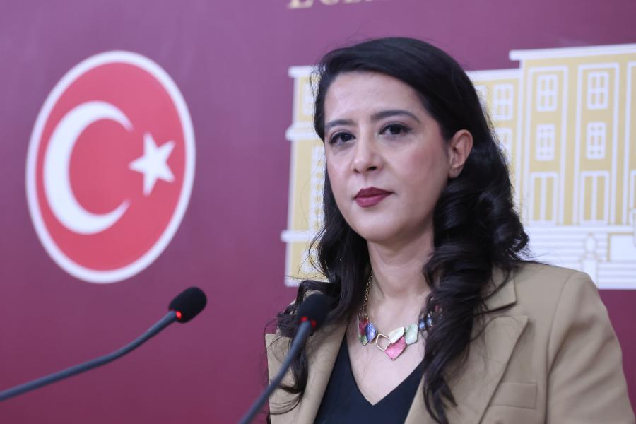 EMEP'li Sevda Karaca: Amasra'daki istismardan bakanlığın önceden haberi var mıydı?