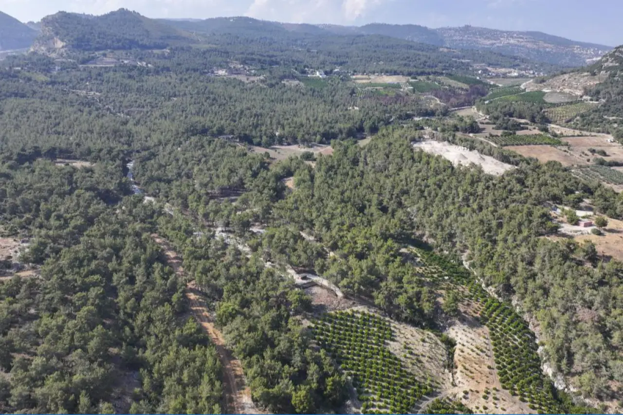 Mersin’de ormanlık alanlara giriş yasaklandı
