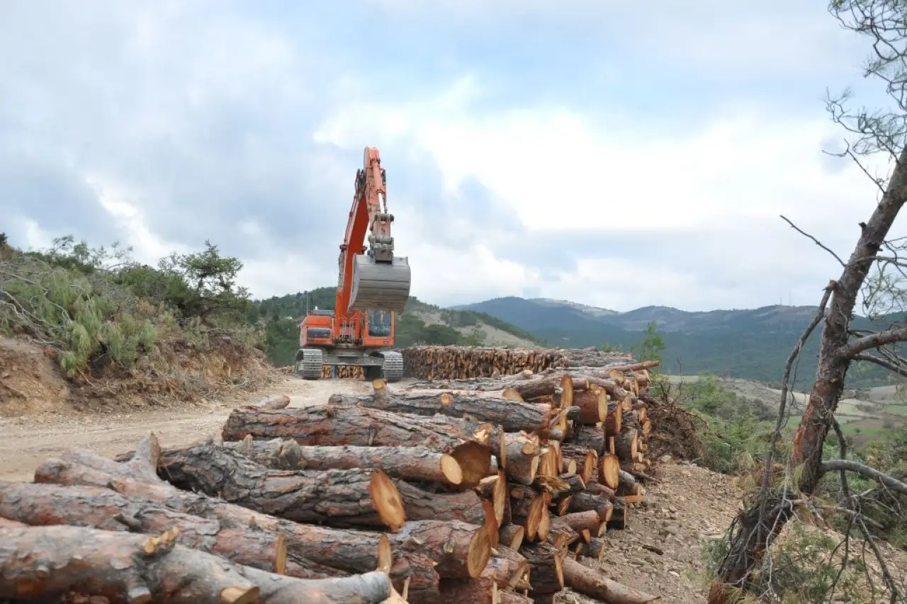 Ağaç yerine beton ve maden: Cumhurbaşkanı kararıyla orman kıyımı