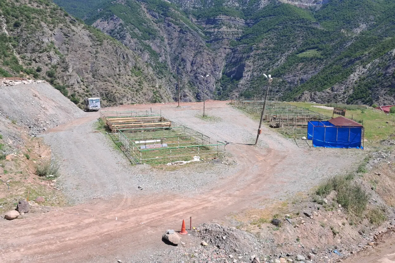 Artvin'de kurban pazarı boş kaldı: Satıcı da yok, alıcı da