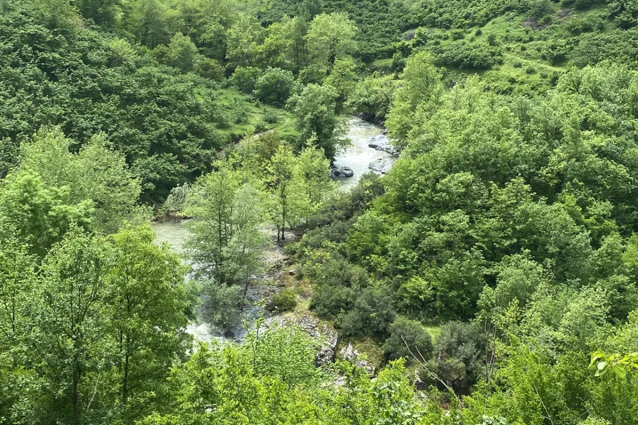 Samsun'da üç gündür kayıp olarak aranan kadın ırmakta ölü bulundu