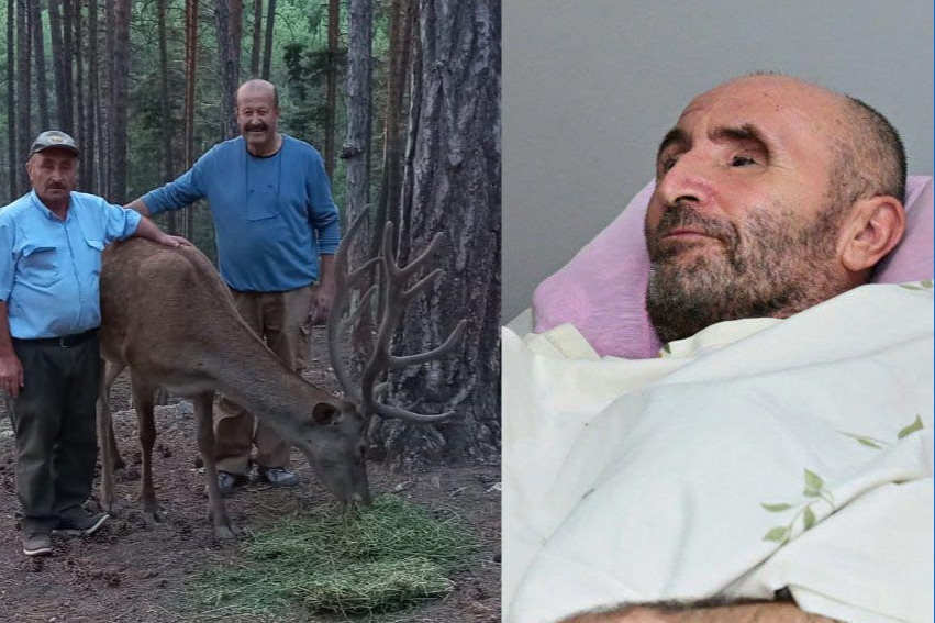Türkiye’nin tek geyik çobanı, baktığı geyiğin saldırısı sonucu 2,5 senedir yatağa bağımlı yaşıyor