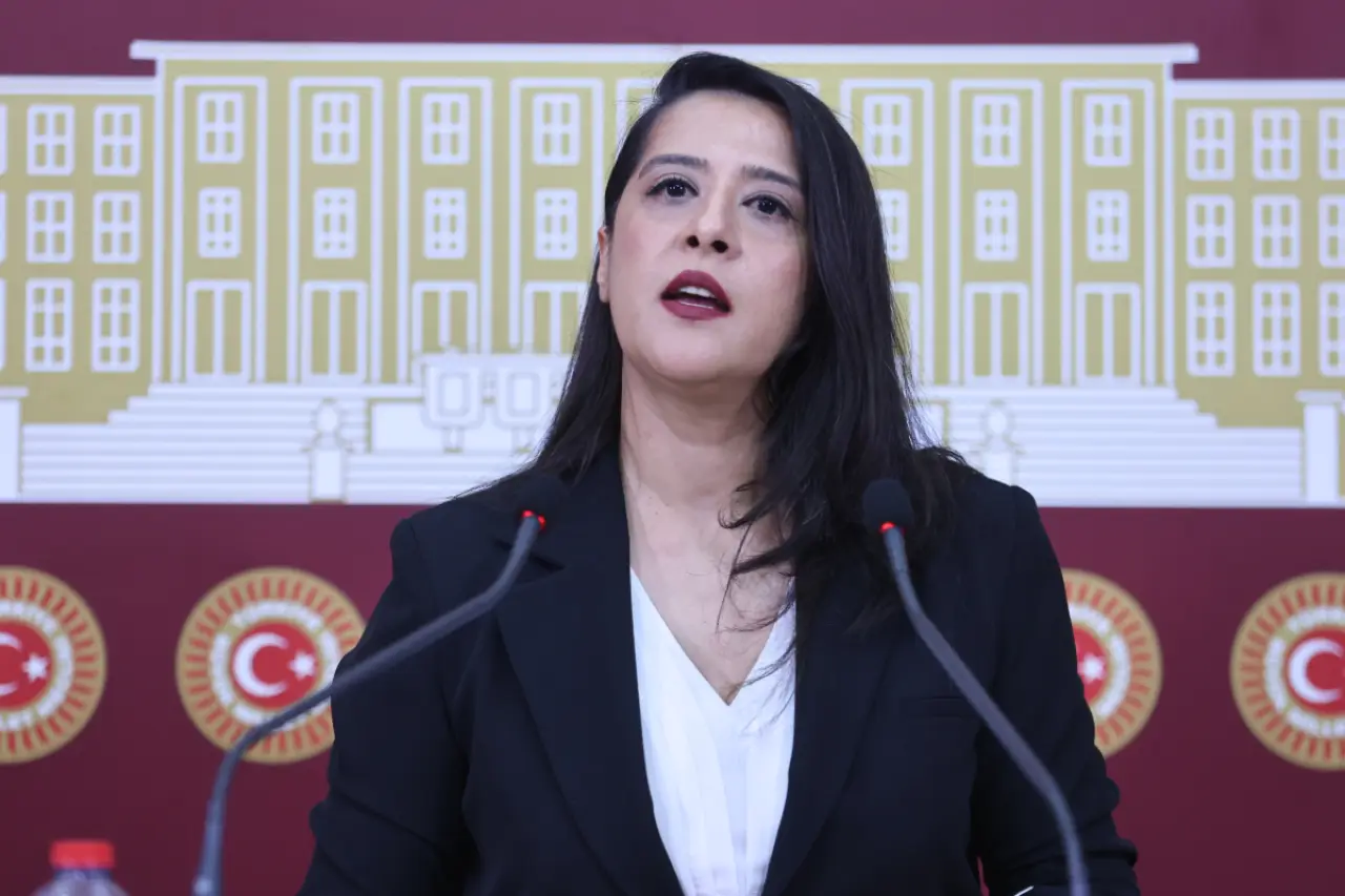 AKP’nin sunduğu vergi paketi Mecliste görüşülüyor | EMEP’li Karaca: AKP kaynağı belirsiz servete çıkış kapısı açıyor
