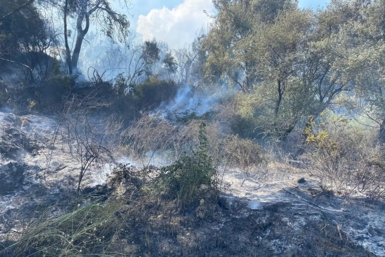 Antalya'da otluk alanda çıkan yangın ormana sıçradı: Kontrol altına alındı, soğutma çalışmaları sürüyor