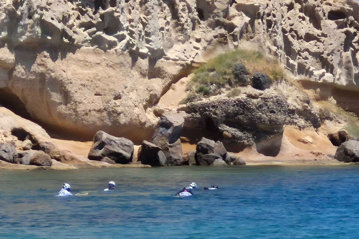 Karaburun ve Foça kıyılarında Akdeniz fokları için koruma çalışması başlatıldı