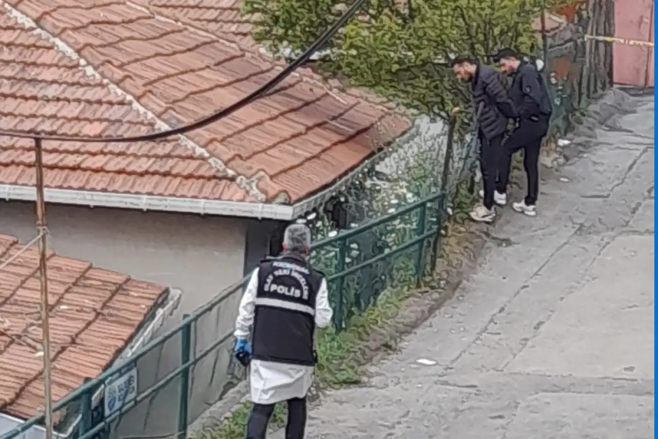 Evini boyarken bahçede kalaşnikof ve el bombaları buldu