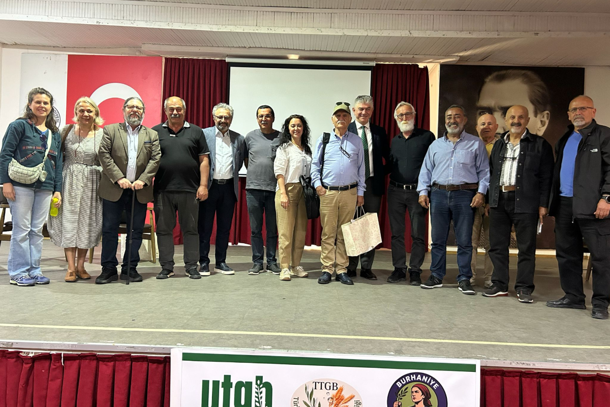 Burhaniye’de tarım alarmı: “Zeytincilik can çekişiyor”