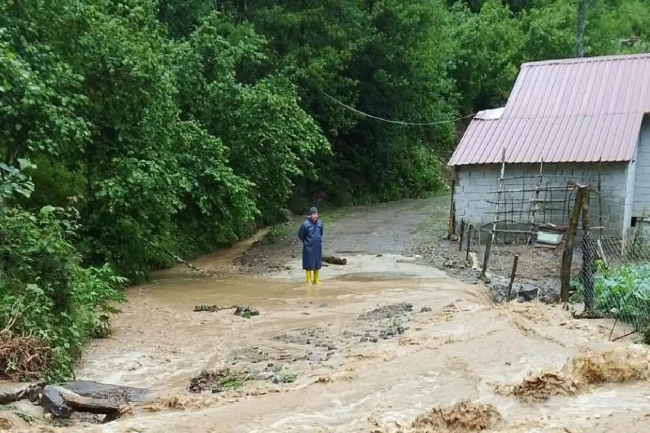 Artvin'de sağanak taşkın ve heyelanlara neden oldu