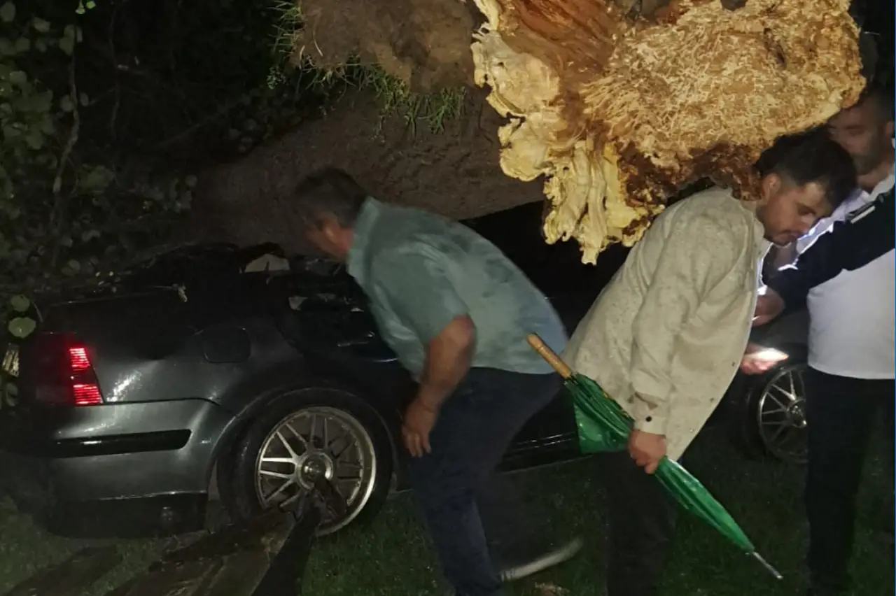 Bartın'da fırtına: Ağaçlar devrildi, araçlar zarar gördü