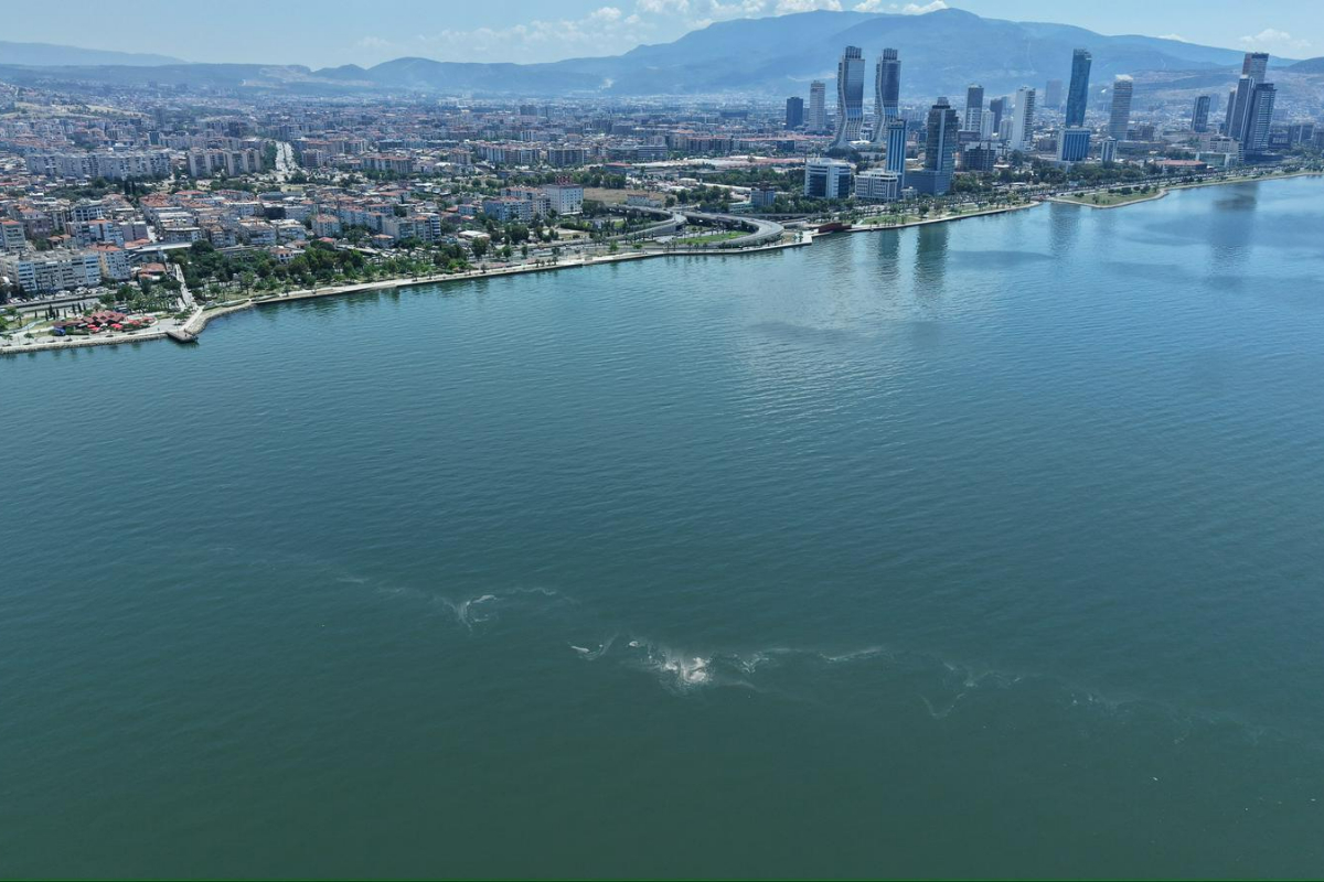 İzmir Körfezi alarm veriyor: Son 7 ayda 14 kez kirlilik tespit edildi