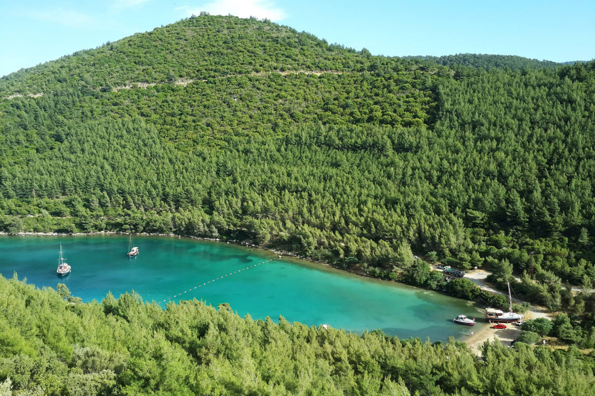 Bodrum’da doğal sit alanındaki turizm projesine ÇED onayı: 'Son kalan yaşam alanları korunmalı'