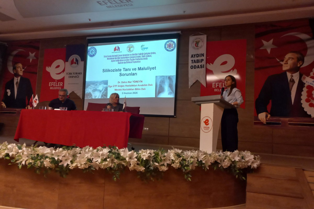 Çine'nin kanayan yarası Aydın'da masaya yatırıldı: 5 Haziran'da silikozis hastası işçilerin yaşam hakkı savunuldu