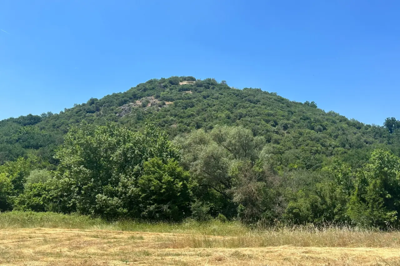 Limak’ın altın madeni keşfinde skandal: Antik kent gizlendi, muhtarlar "ikna" edildi, doğa tehdit altında