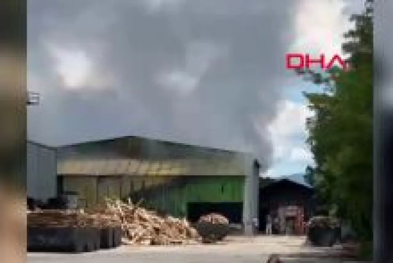 Sakarya'da palet fabrikasında yangın