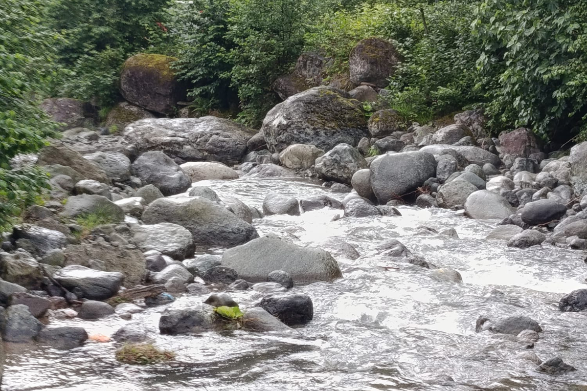 Artvin Pilarget Havzası'nda doğa katliamı: Yüzyıllık kayalar parçalanıyor