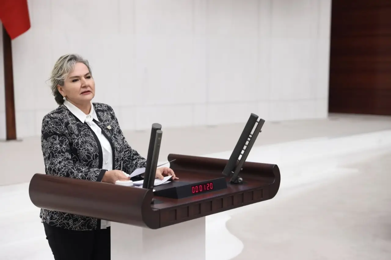 CHP İstanbul Milletvekili Nimet Özdemir partisinden istifa etti