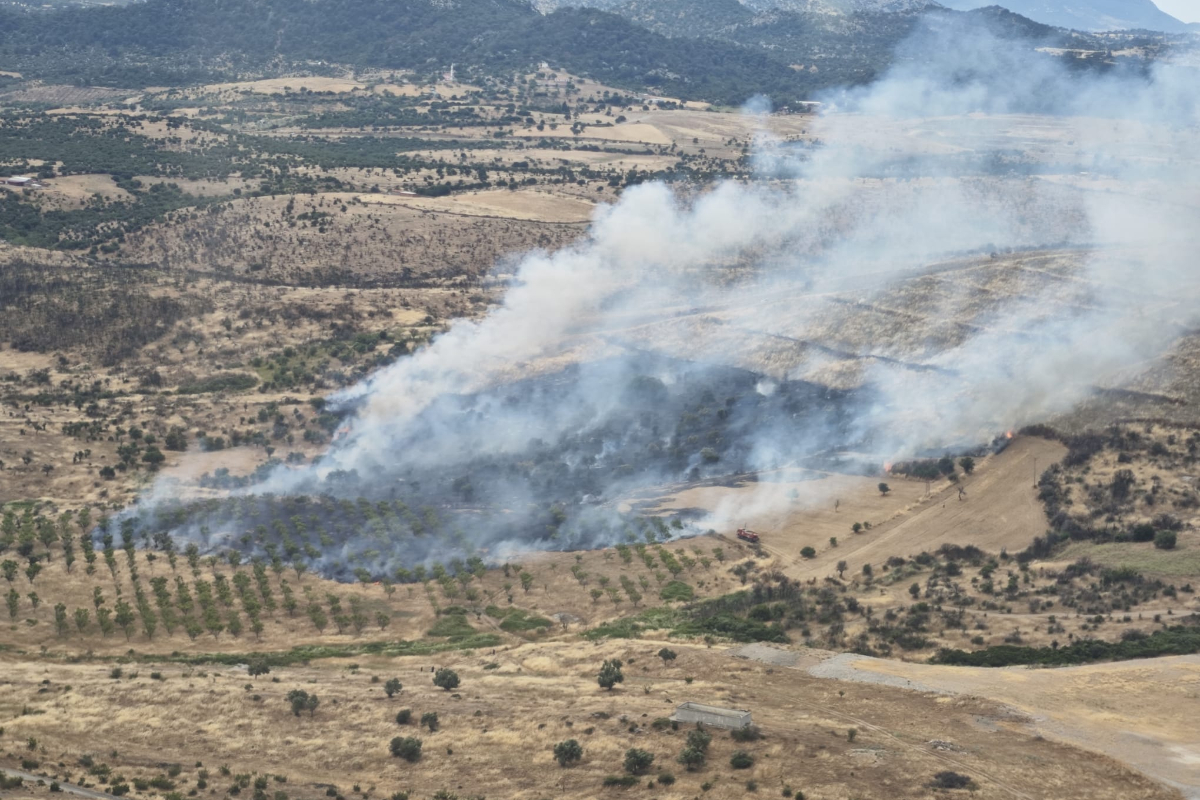 Çanakkale Ezine'de orman yangını: Havadan ve karadan müdahale başladı
