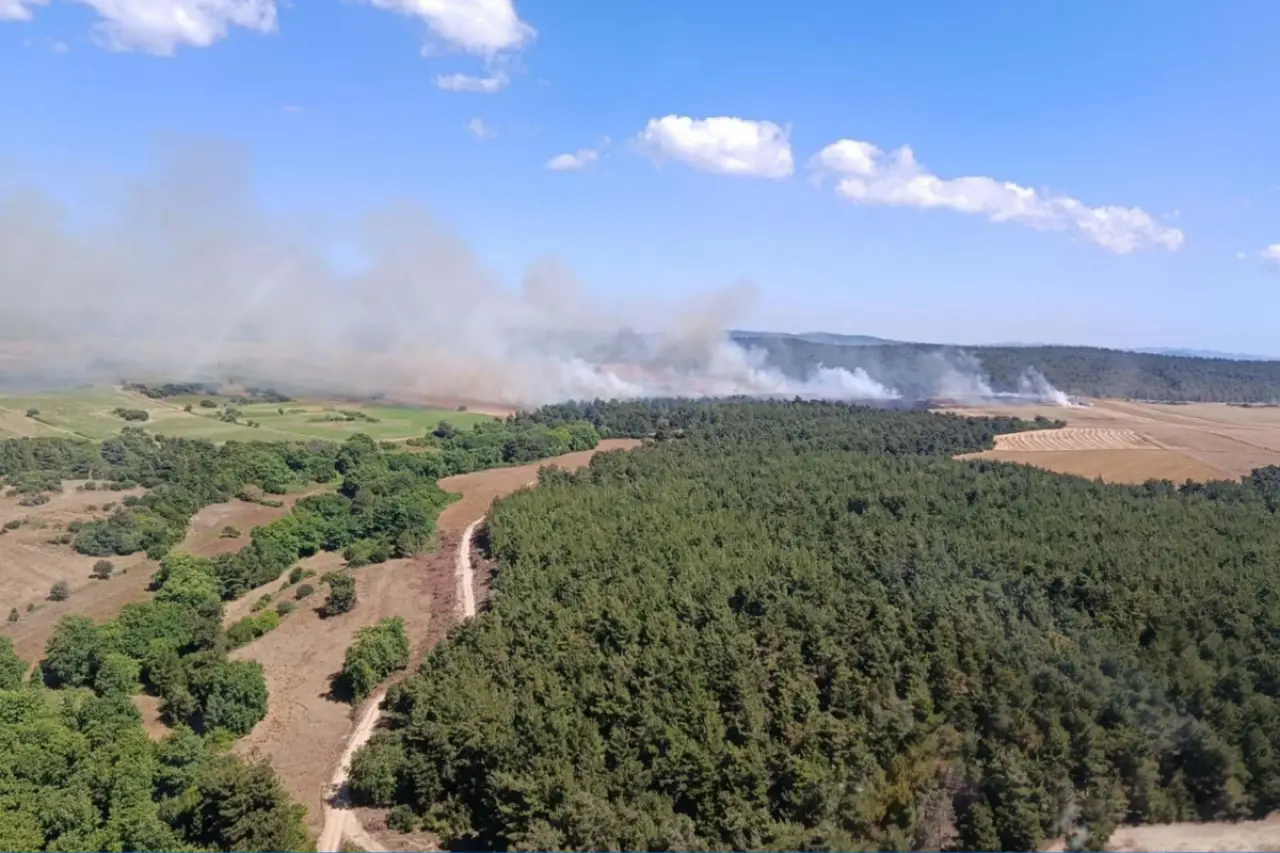 Çanakkale'de tarım arazisinde çıkan yangın ormanlık alana sıçradı