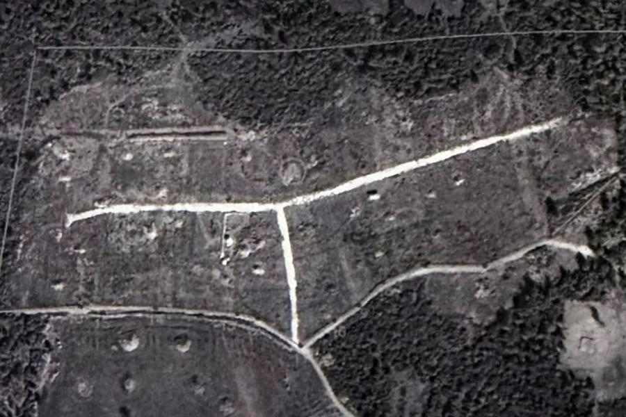 Ormanı bölüşen kamu personeline mahkeme 'dur' dedi