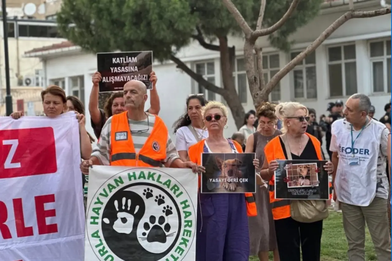 İzmir Yaşam Hakları Savunucuları'ndan sokak hayvanlarının toplanmasına tepki