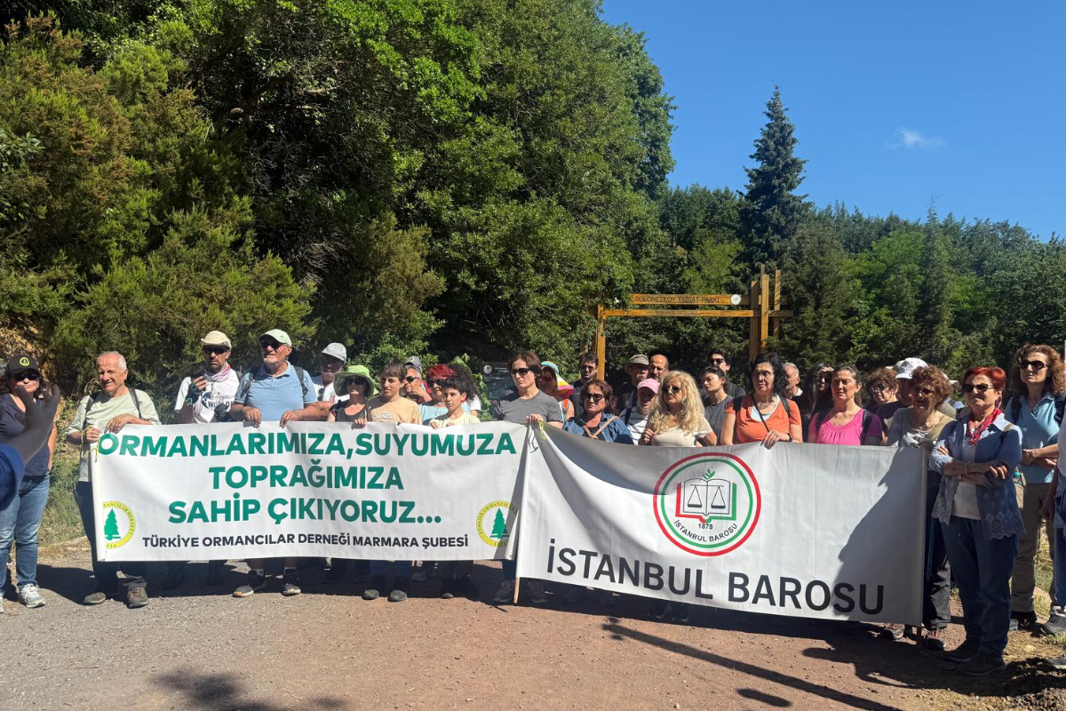 İstanbul'un akciğerleri için çevre yürüyüşü: 'Kuzey Ormanları taviz verilemez bir bütündür'