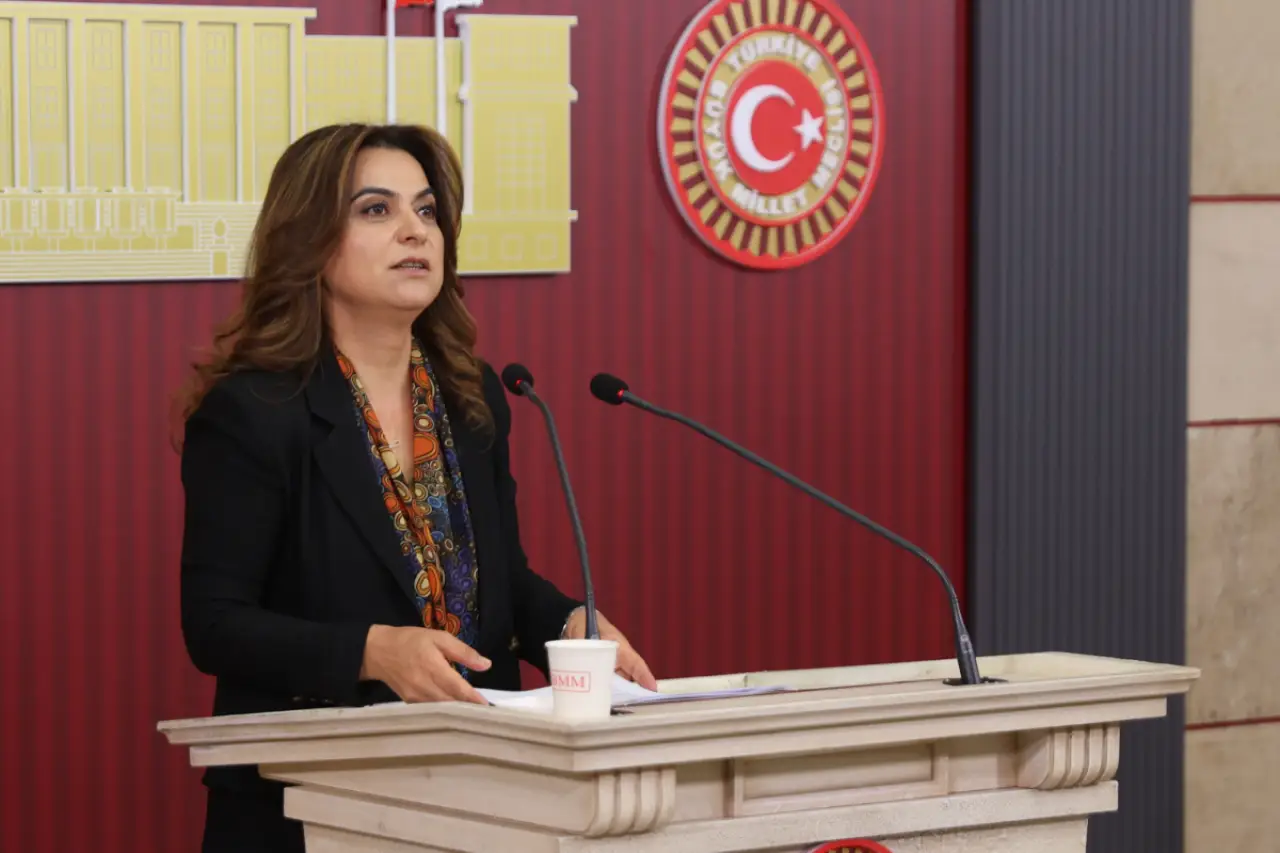DEM Parti'den 'çerçeve yasa' çağrısı | Koçyiğit: Süreçten yasal sürece geçiş öncelikli başlık olmalı