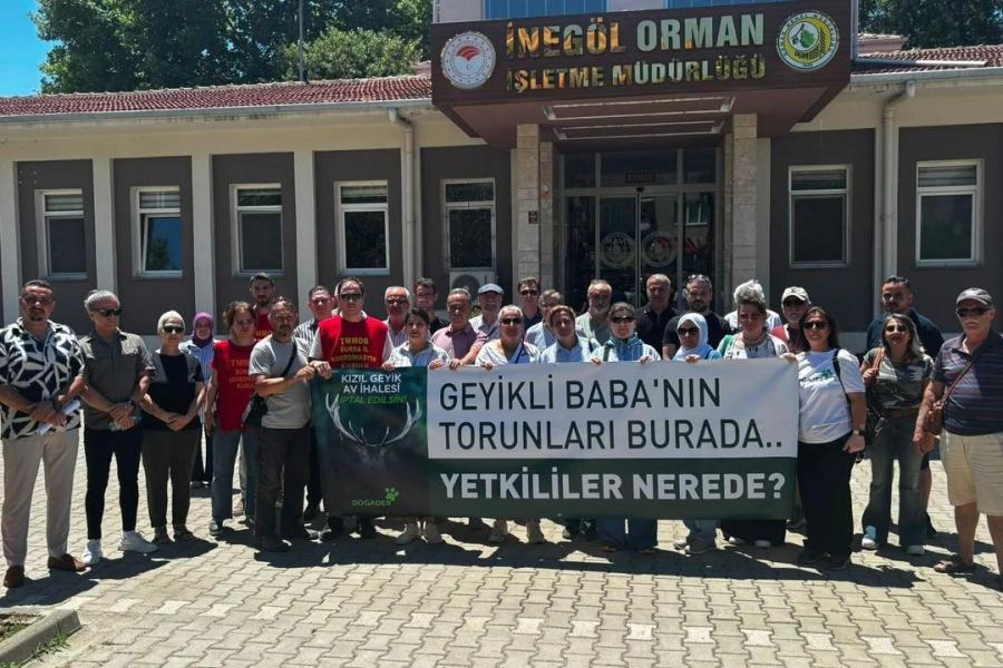 255 bin TL'lik kızıl geyik avı ihalesine DOĞADER'den tepki: Katliam kararı ivedilikle geri çekilmelidir
