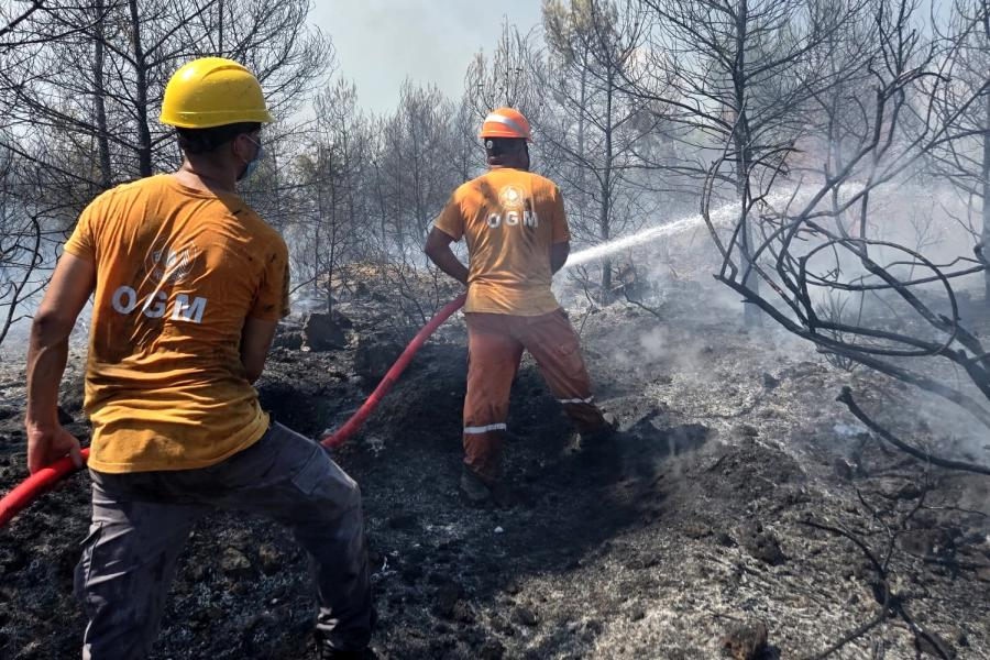 Antalya'da orman yangını: havadan ve karadan müdahale sürüyor