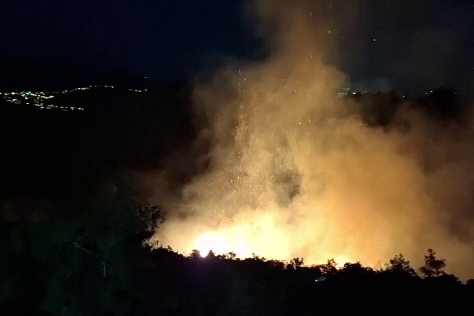 Hatay'da orman yangını
