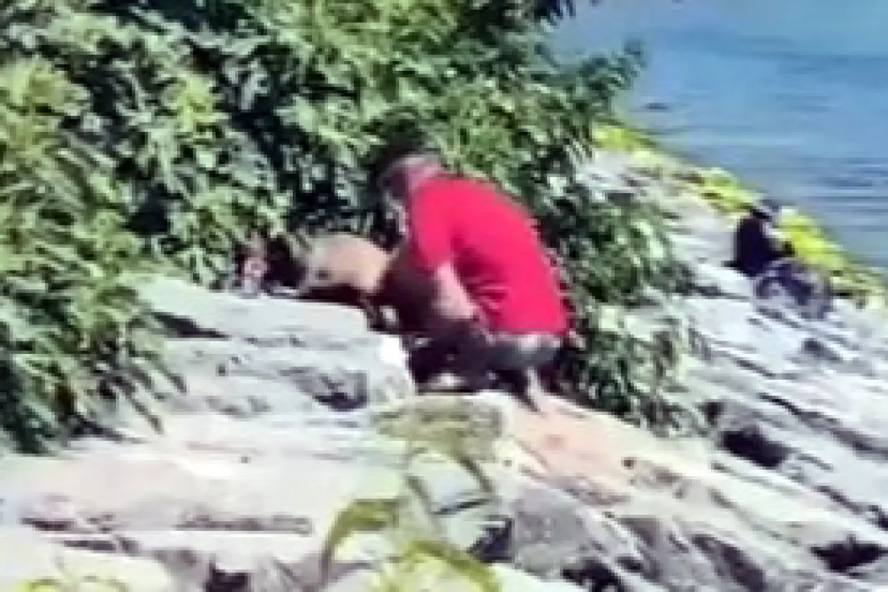 Gezdirdiği köpeğe şiddet uyguladı