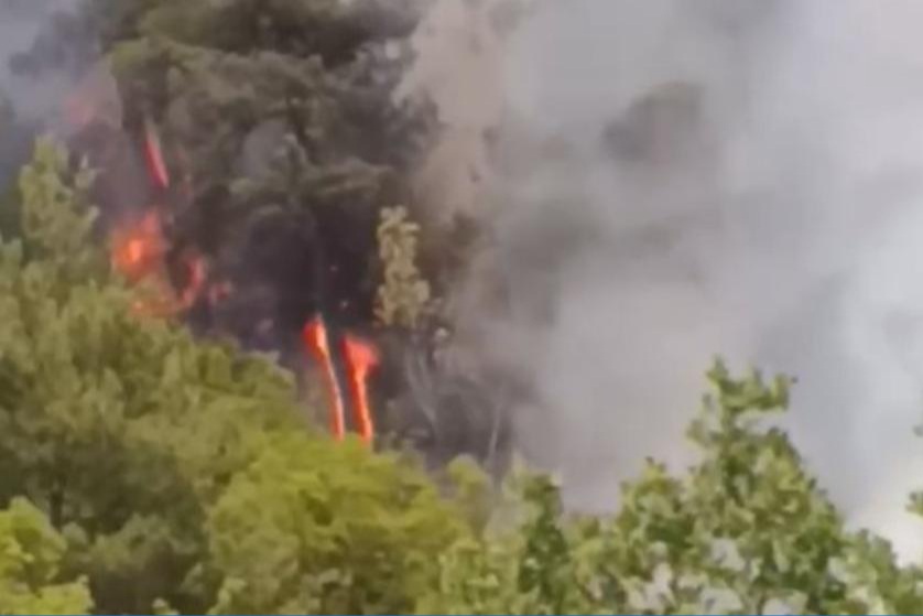 Bursa'da ağıldan çıkıp ormana sıçrayan yangın kontrol altına alındı. Bir kişi gözaltına alındı